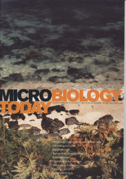 PDF - Microbiology Society