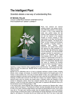 The Intelligent Plant
