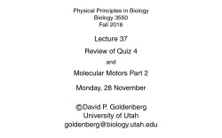 slides - Biology Courses Server