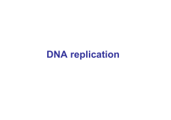 DNA replication