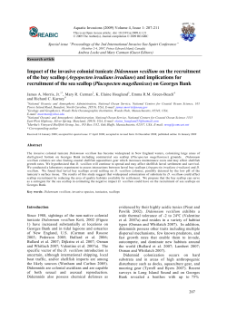 Impact of the invasive colonial tunicate