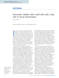 Pancreatic stellate cells: small cells with a big role in tissue