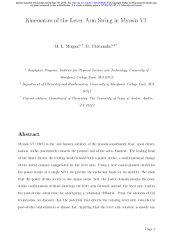 Kinematics of the Lever Arm Swing in Myosin VI