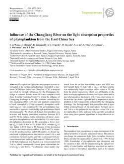Influence of the Changjiang River on the light absorption properties