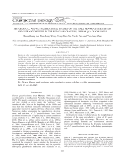 histological and ultrastructural studies on the male reproductive