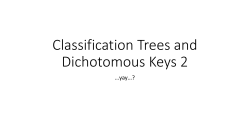 Classification Trees and Dichotomous Keys 2