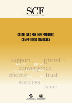 guidelines for implementing competition advocacy