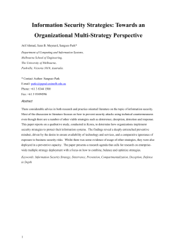 Information Security Strategies: Towards an