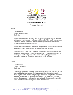 Colorado Mammals Object List - University of Colorado Boulder