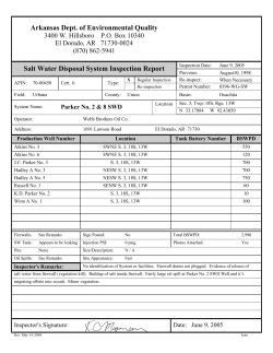 Salt Water Disposal System Inspection Report
