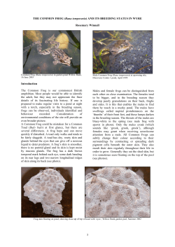 3 THE COMMON FROG (Rana temporaria) AND ITS BREEDING