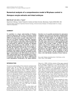 Numerical analysis of a comprehensive model of M