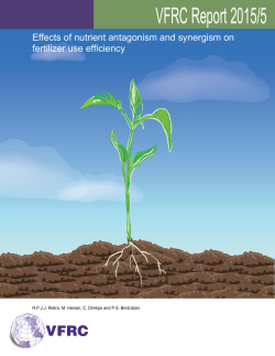 Effects of nutrient antagonism and synergism on fertilizer use efficiency