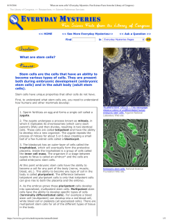 What are stem cells? Stem cells are the cells that have an ability to