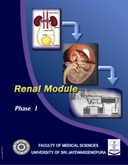 Intermediate objectives