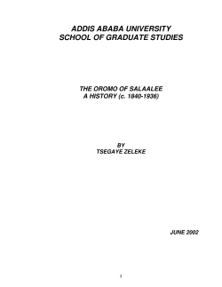 as a PDF
