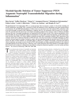 Myeloid-Specific Deletion of Tumor Suppressor