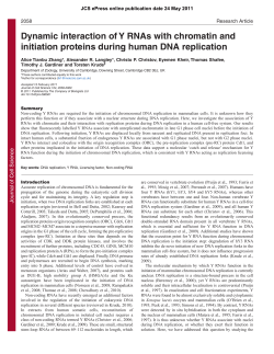 Dynamic interaction of Y RNAs with chromatin and initiation proteins