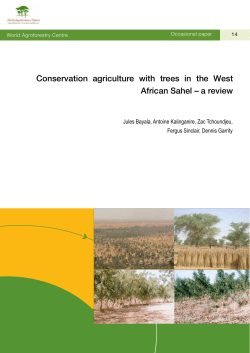Conservation agriculture with trees in the West African Sahel