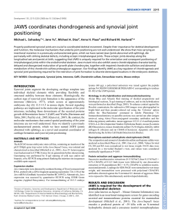 JAWS coordinates chondrogenesis and synovial joint positioning