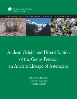 an Ancient Lineage of Asteraceae