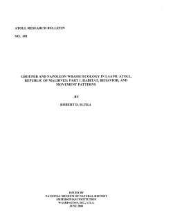 atoll research bulletin no. 491 grouper and napoleon