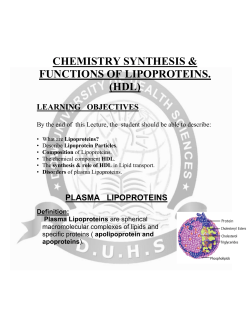 hdl - DUHS
