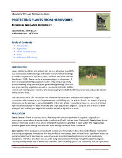 Protecting Plants from Herbivores