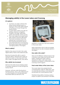 Managing salinity in the Lower Lakes and Coorong