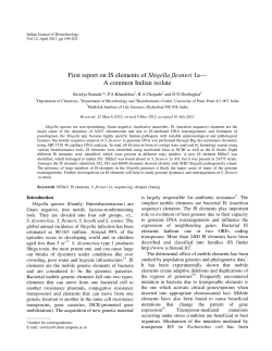 First report on IS elements of Shigella flexneri 1a&mdash; A common