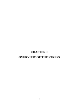 CHAPTER 1 OVERVIEW OF THE STRESS
