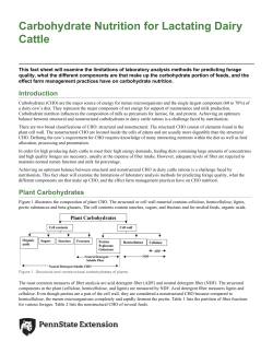 Carbohydrate Nutrition for Lactating Dairy Cattle