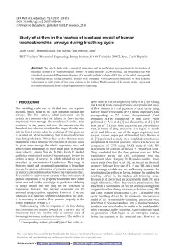 Study of airflow in the trachea of idealized model of human