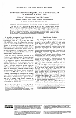 Electrochemical Evidence of Specific Action of Indole Acetic Acid on