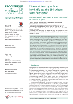 Evidence of taxon cycles in an Indo-Pacific passerine bird radiation