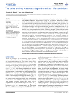 The brine shrimp Artemia: adapted to critical life