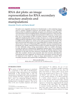 RNA dot plots: an image representation for RNA secondary structure