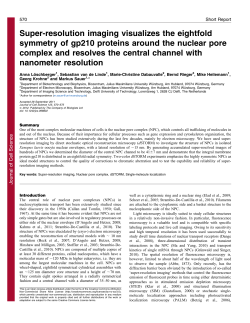 Super-resolution imaging visualizes the eightfold symmetry of gp210