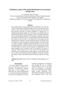 Preliminary study of the spatial distribution of sweet potato storage
