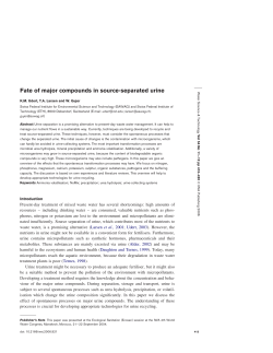 as a PDF
