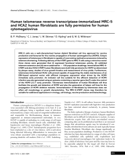 Human telomerase reverse transcriptase-immortalized MRC
