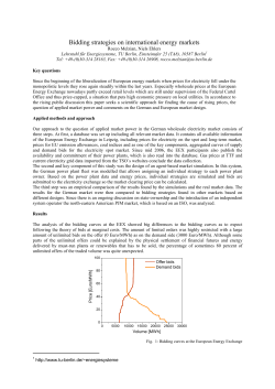 Bidding strategies on international energy markets