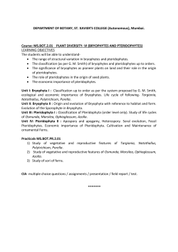 semester 2 - St. Xavier`s College