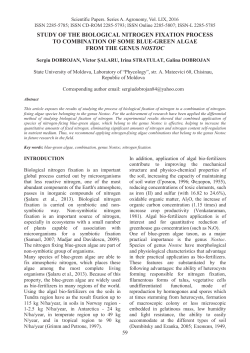 STUDY OF THE BIOLOGICAL NITROGEN FIXATION PROCESS TO