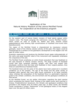 Application of the Natural History Museum of the Lesvos Petrified