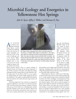Microbial Ecology and Energetics in Yellowstone Hot