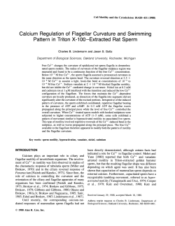Calcium regulation of flagellar curvature and swimming pattern in