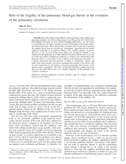 Role of the fragility of the pulmonary blood