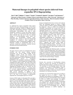 Maternal lineages in polyploid wheat species inferred from