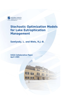 Stochastic Optimization Models for Lake Eutrophication Management